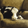 Farmhouse Cow Relaxation Diamond Painting