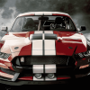 Ford Shelby GT350R Engine Diamond Painting