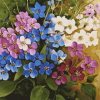 Forget Me Not Blossoms Diamond Painting