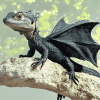 Frilled Dragon Reptile Diamond Painting