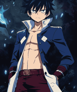 Gray Fullbuster Anime Diamond Painting