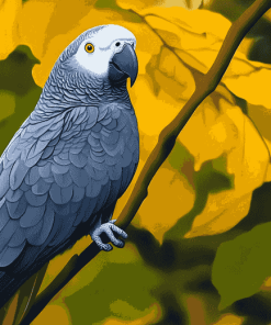 Grey Parrot Bird Diamond Painting