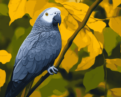 Grey Parrot Bird Diamond Painting