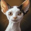 Hairless Cat Diamond Painting