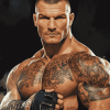 Handsome Randy Orton WWE Diamond Painting