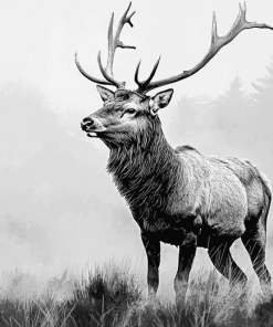 Highland Stag Black and White Diamond Painting