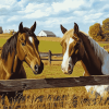 Horse Farm Scene Diamond Painting