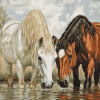 Horses Drinking Water Diamond Painting