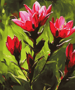 Indian Paintbrush Blossoms Diamond Painting