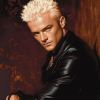 James Marsters Celebrities Diamond Painting