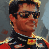 Jeff Gordon Glasses Race Cars Diamond Painting