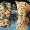 Kittens Water Reflection Diamond Painting