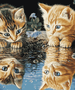 Kittens Water Reflection Diamond Painting