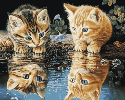 Kittens Water Reflection Diamond Painting