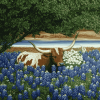 Longhorn and Bluebonnets Diamond Painting