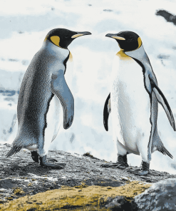 Love-Inspired Penguin Diamond Painting