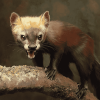 Mad Marten Wild Animals Diamond Painting