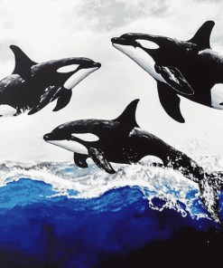 Majestic Orcas Diamond Painting