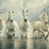 Majestic White Horses Diamond Painting