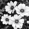 Monochrome Blossoms Diamond Painting