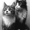 Monochrome Fluffy Kittens Diamond Painting