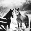 Monochrome Horses on the Farm Diamond Painting