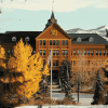 Montana State University Campus Diamond Painting