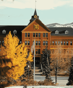 Montana State University Campus Diamond Painting