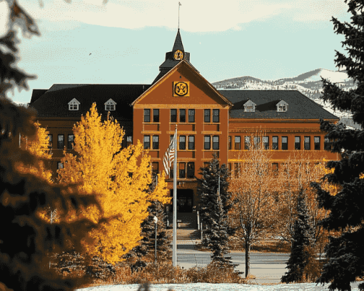 Montana State University Campus Diamond Painting