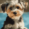 Morkie Puppy Diamond Painting