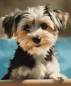 Morkie Puppy Diamond Painting