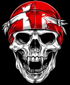 Nebraska Huskers Blackshirts Skull Diamond Painting