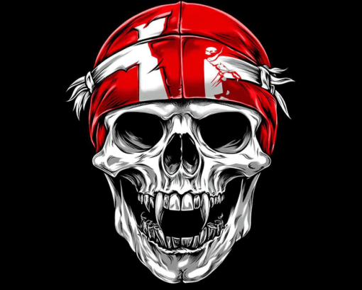 Nebraska Huskers Blackshirts Skull Diamond Painting