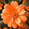 Orange Blossom Diamond Painting