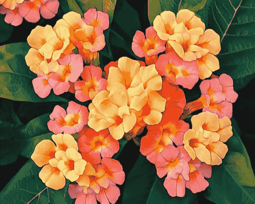 Orange Blossom Lantanas Diamond Painting