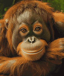 Orangutans Jungle Diamond Painting