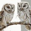 Owl Couple Diamond Painting Birds