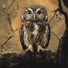 Owl Night Birds Diamond Painting