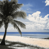 Palmetto Bay Seaside Diamond Painting