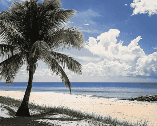 Palmetto Bay Seaside Diamond Painting