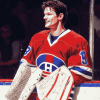 Patrick Roy Hockey Legends Diamond Painting