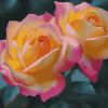 Peace Roses Blossom Diamond Painting