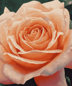 Peach Rose Blossom Diamond Painting