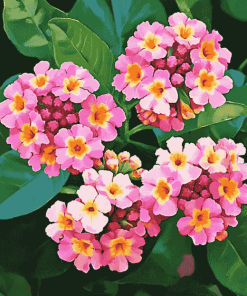 Pink Lantanas and Roses Diamond Painting