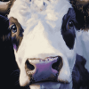 Purple Cow Animal Diamond Painting