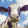 Purple Cow Diamond Painting