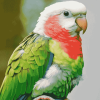 Quaker Parrot Diamond Painting