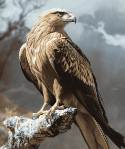 Red Kite Birds Diamond Painting