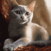 Russian Kitty Diamond Painting