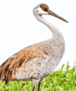 Sandhill Crane Nature Diamond Painting